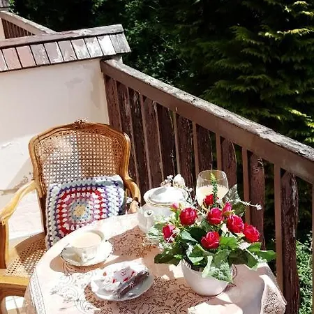 Ośrodek wypoczynkowy Willa Pod Różami Krynica-Zdrój