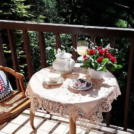 Willa Pod Różami Ośrodek wypoczynkowy