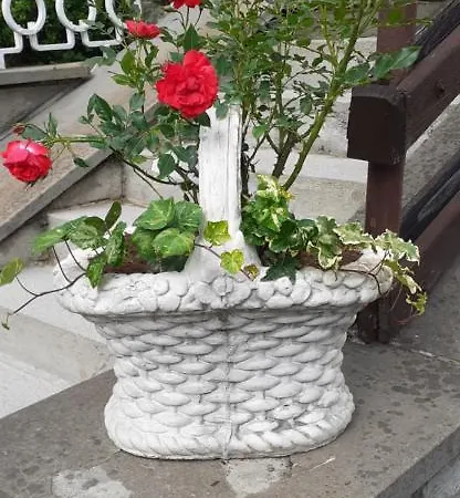 Willa Pod Różami Ośrodek wypoczynkowy *